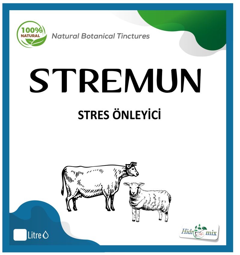 Resim